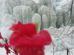 -黑龙潭风景区