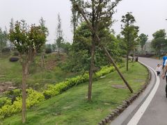 -枫香湖儿童公园