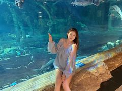 -华夏文旅西安度假区