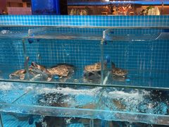 -山海•蒸汽活海鲜自助(皇庭广场店)