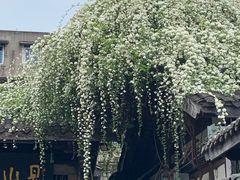 -见山书院