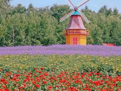 -北纬44度·金珠花海休闲农业旅游景区