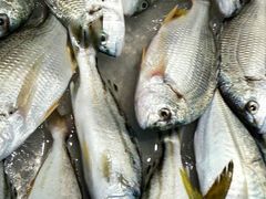 -五稻厨房粤西菜(新闻店)