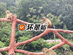 -环翠峪风景区