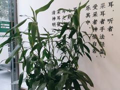 -乐老大耳道·可视采耳·禅洗·推拿(大成直营店)