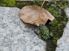 -松花湖风景名胜区