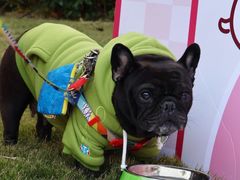 -上海神旺大酒店