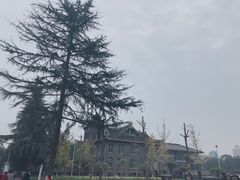 -四川大学(华西校区)