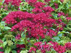 -中国杭州低碳科技馆