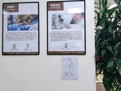 -美联众合动物医院·24h转诊中心