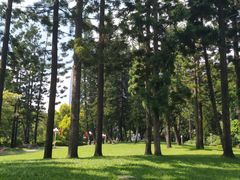 -人民公园(罗湖区)