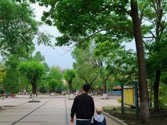 -哈尔滨文化公园