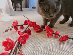 -第三空间·趣味桌游·轰趴.室内CS.剧本杀(大武汉1911店)