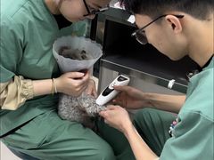 -派美特宠物医院·核磁CT·骨科肿瘤·疑难转诊(沈农禾丰店)
