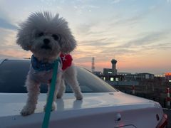 -南汇嘴观海公园