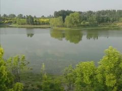 -东郊湿地公园