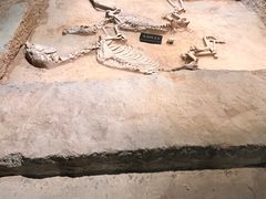 -洛阳周王城天子驾六博物馆