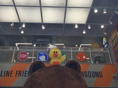 -line friends(明洞旗舰店)
