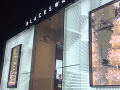-BLACKSWAN黑天鹅(环球店)
