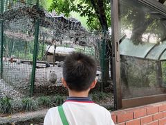 -杭州香格里拉·香宫中餐厅