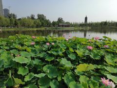 -西海子公园