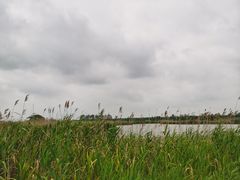 -盐城丹顶鹤湿地生态旅游区