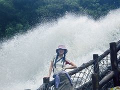 -广州白江湖森林公园