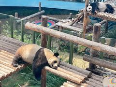 -大连森林动物园