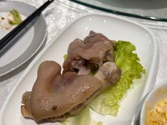 -丁老爷子苏香圆