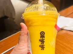 芒果雪乐-果呀呀(国金街店)