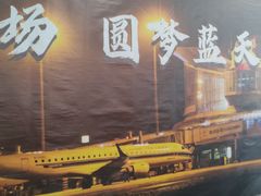-绵阳南郊机场