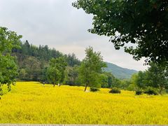 -塔川景区