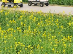 -中国天府农业博览园