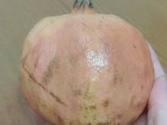 -蓬川食府(金海道店)