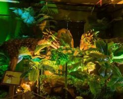 -恐龙探索乐园(磁器口店)