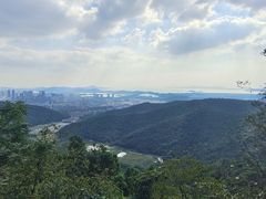 -惠山国家森林公园