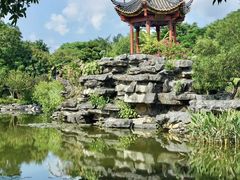 -顺峰山公园