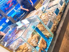 水产区-苏福记·海鲜佬(凤城四路店)