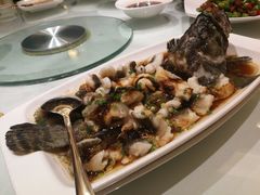 豆豉蒸石斑鱼-顺风海鲜港(长寿路店)