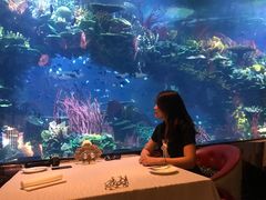 -迪拜帆船酒店海底餐厅