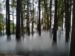 -东湖落雁景区