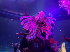 -沈阳海洋探索中心