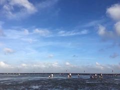 -碧海金沙