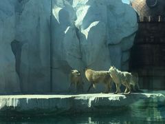 -秦皇岛乐岛海洋王国