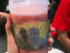 -野萃山·潮汕厚果汁(十亩地店)