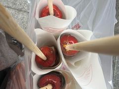 -糖葫芦王保定名吃(古莲花池店)