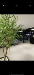 点击看大图 -付军剪艺JF ProSalon