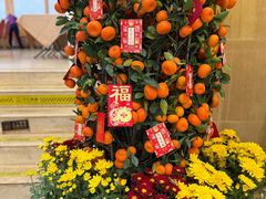 年桔-澳门西南饭店·粤菜·茶市·手工点心(华海路店)