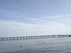 -星海湾跨海大桥