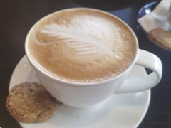 -blue frog蓝蛙(长泰广场店)